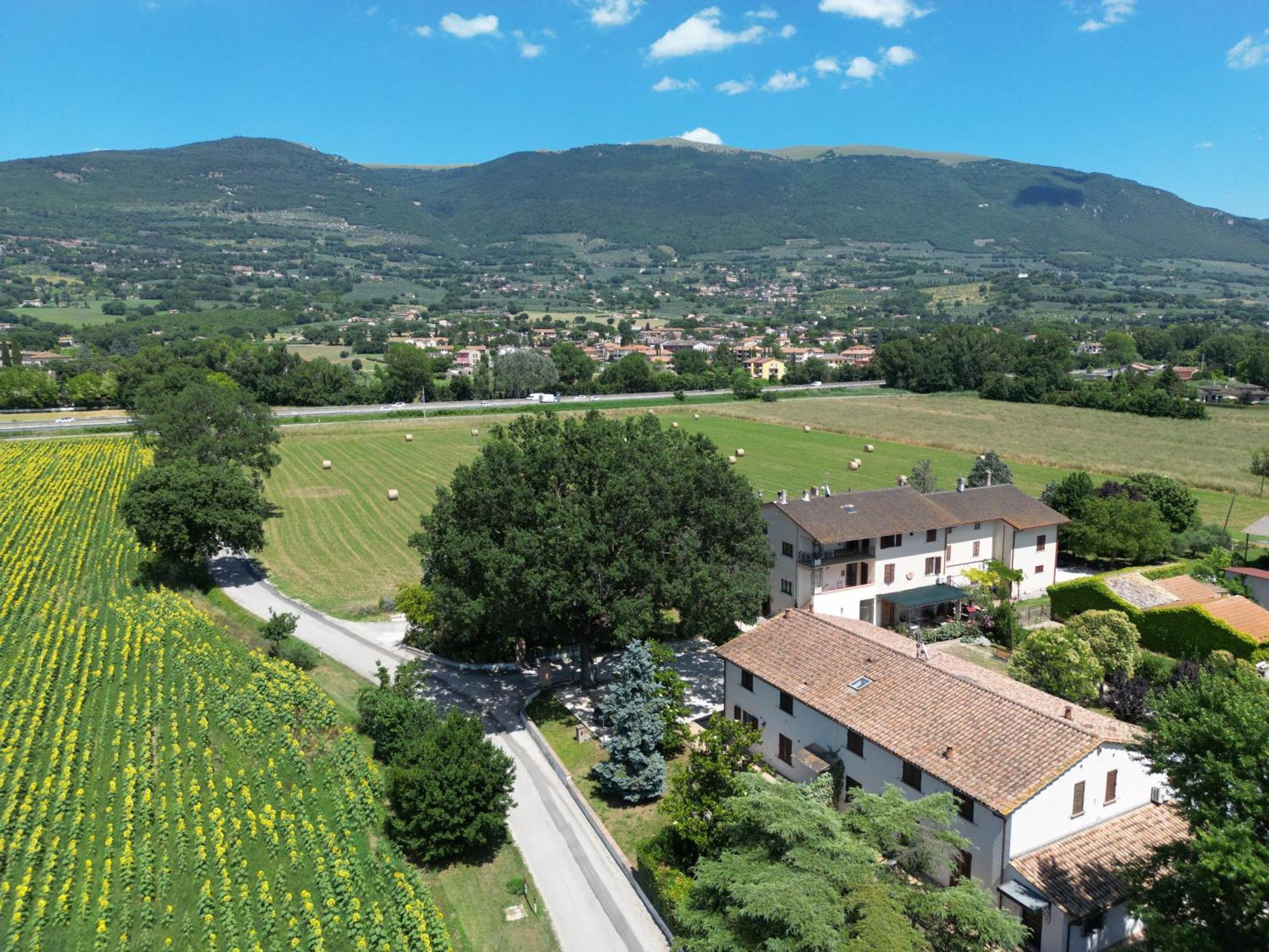 Il Quercione Agriturismo Rivotorto Exterior foto